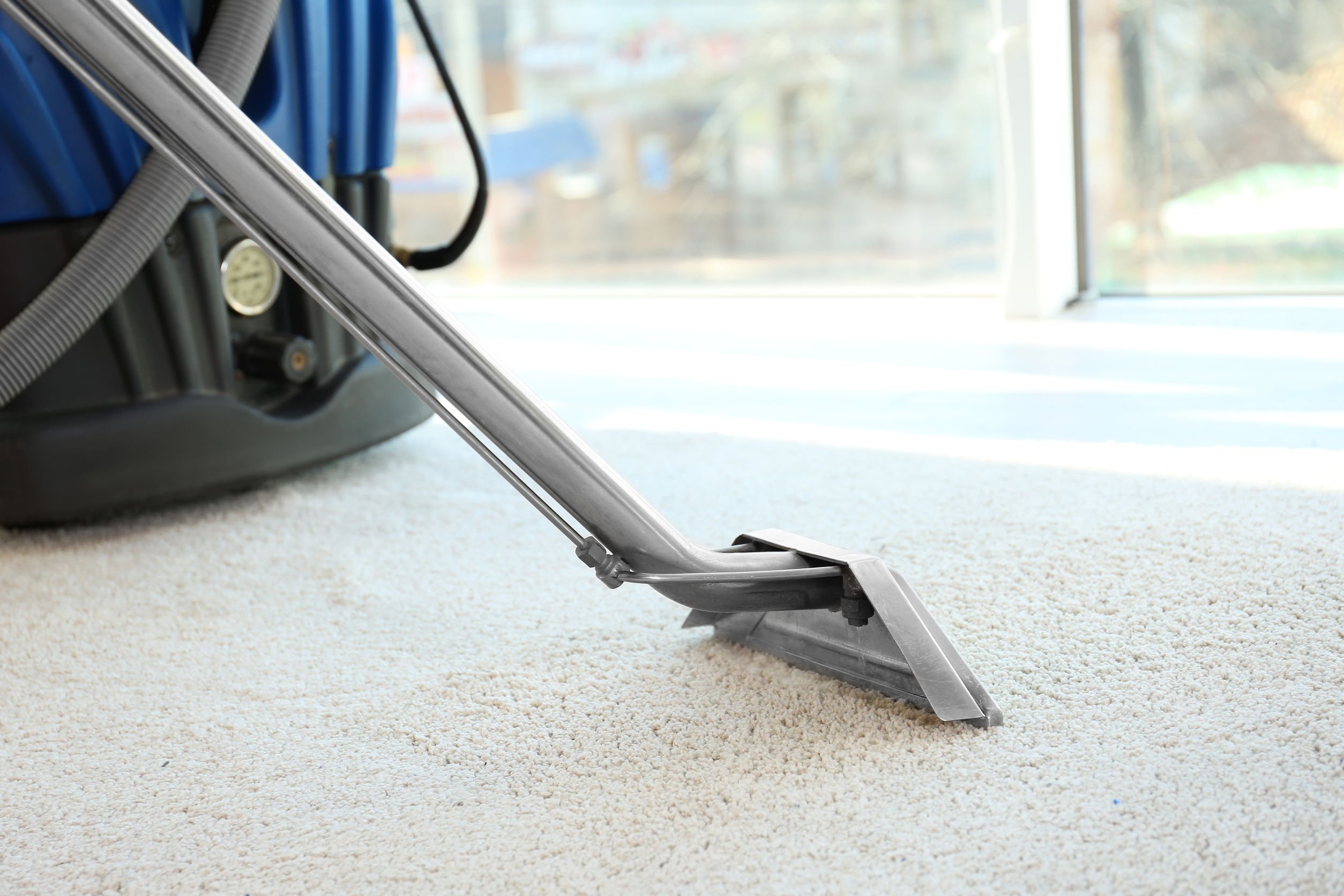 Using a steam carpet cleaner фото 119